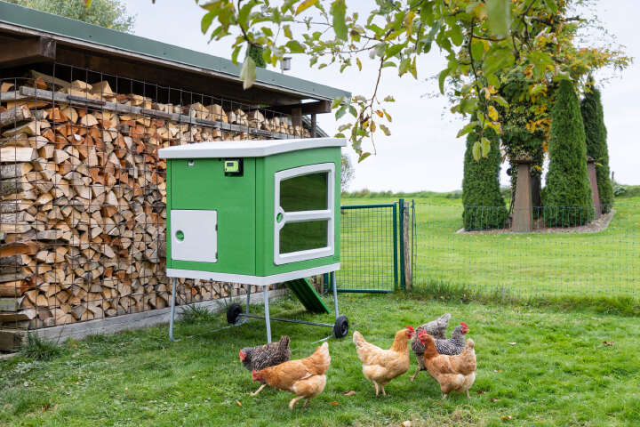 KERBL SmartCoop Steuerung